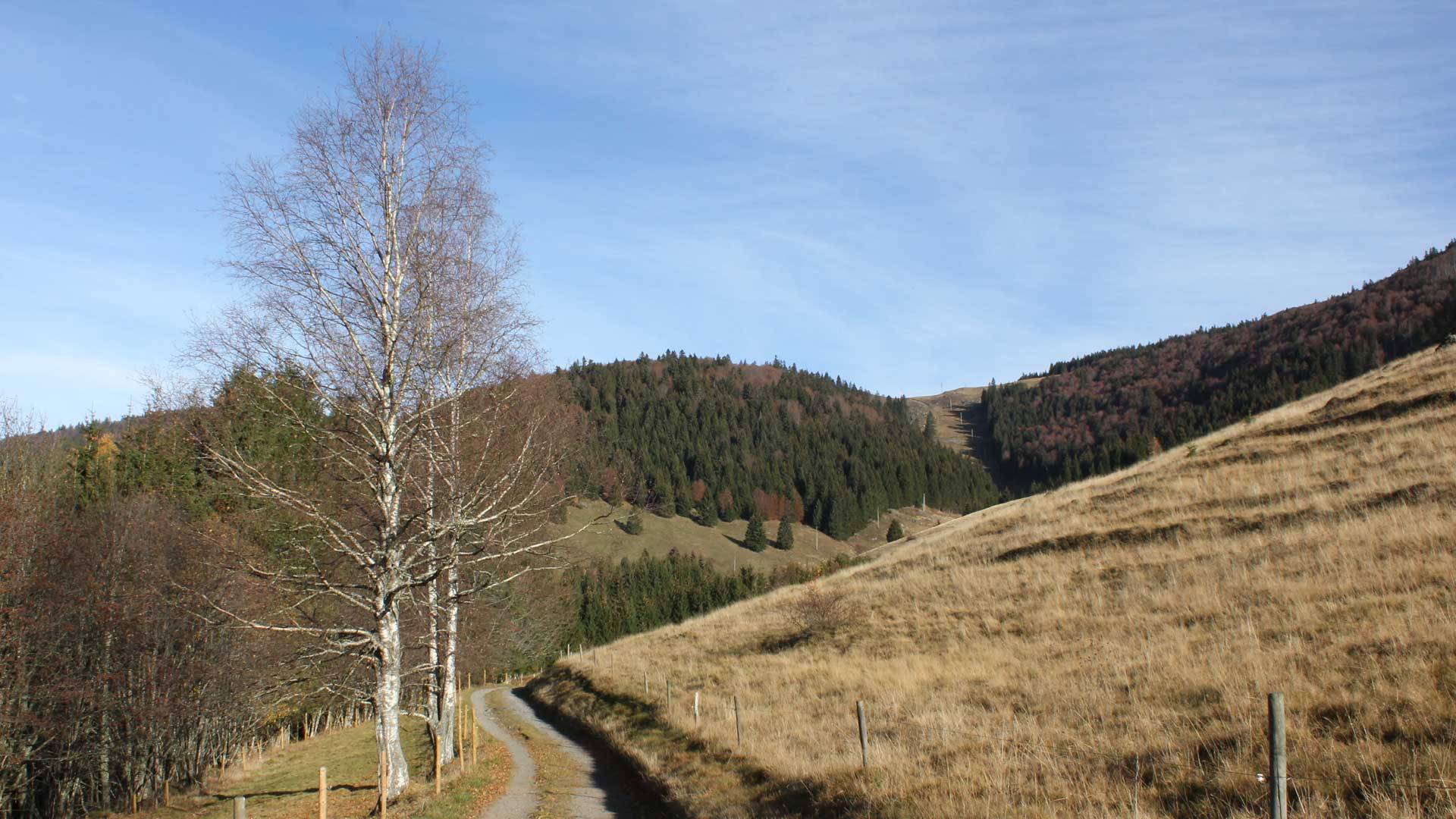 Im Herbst auf dem oberen Bernauer Panoramaweg mit Blich auf die Weide unterhalb der Krunkelbach Hütte