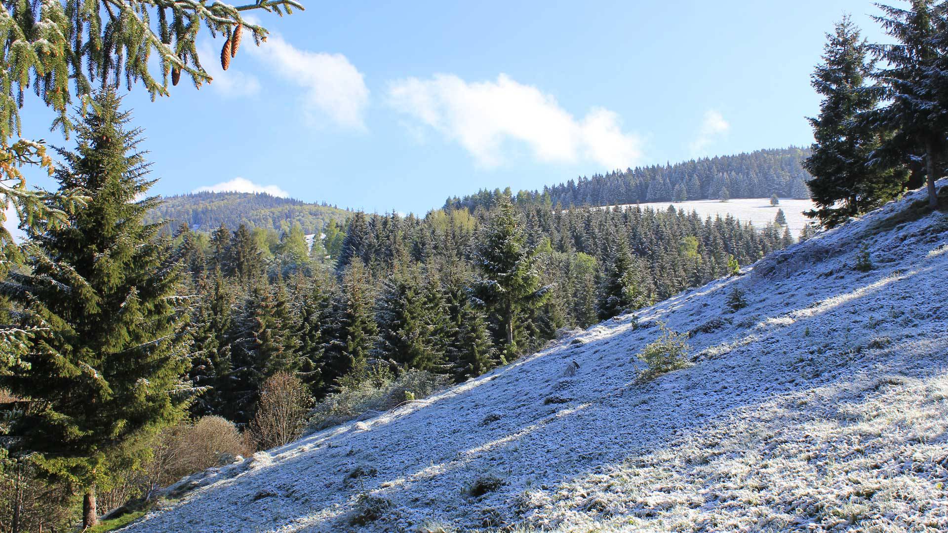 An einem sonnigen Tag nach dem ersten Wintereinbruch auf dem unteren Panoramaweg in Bernau